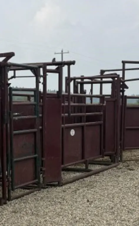 Stampede Steel Adjustable Alleyway