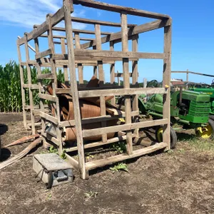 Assortment of Lumber