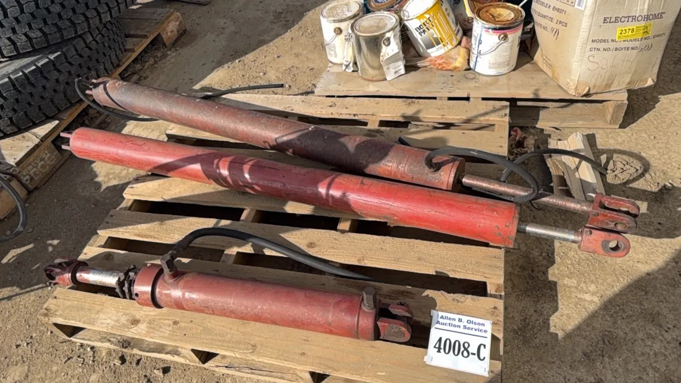 3 - HYD CYLINDERS