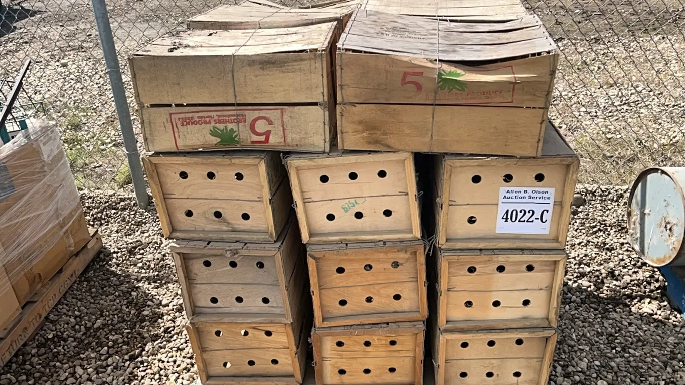 24 - HYDROCOOLED BEANS BOXES