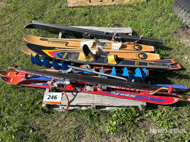 Quantity of (10) Quantity of Ski & 7 in Ice Auger