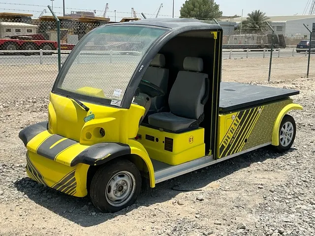 2017 Electric Golf Cart