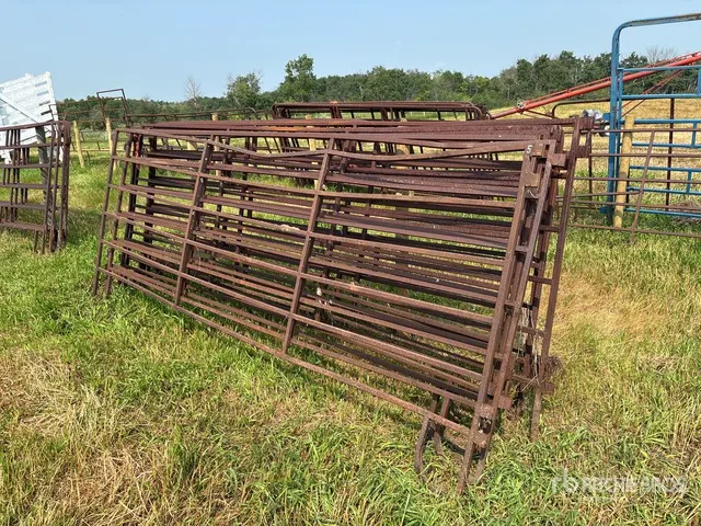 Quantity of (8) 12 ft x 5 ft 6 Bar Livestock Panel