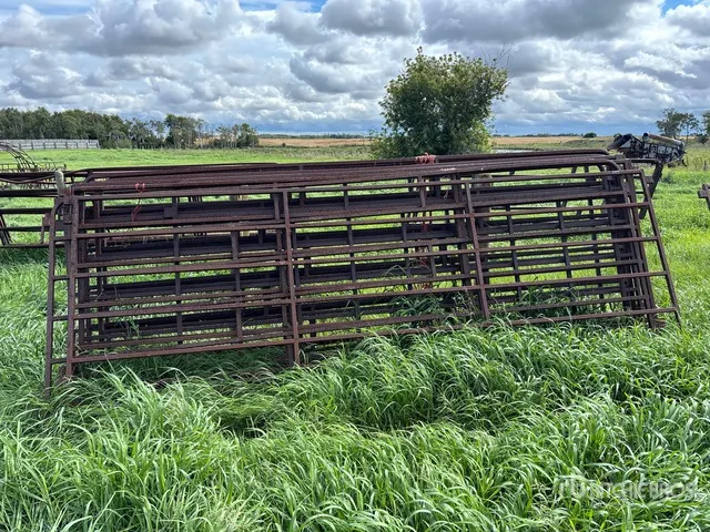 Quantity of (9) 12 ft x 5 ft 6 Bar Livestock Panel