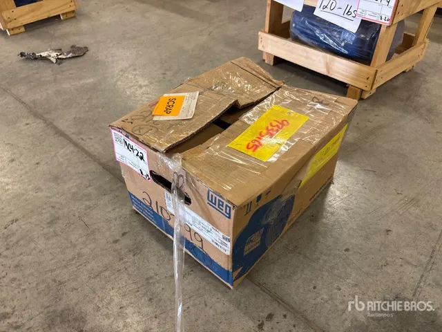 Weg Electric Motor