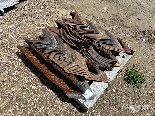 Quantity of 12 in Cultivator Shovels
