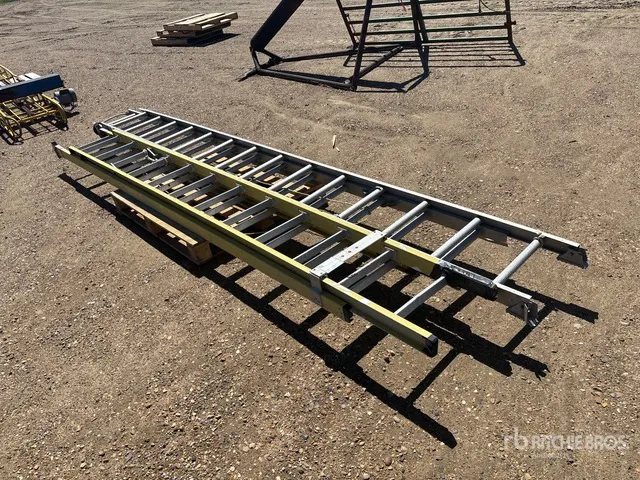 Quantity of (2) Extendable Ladder