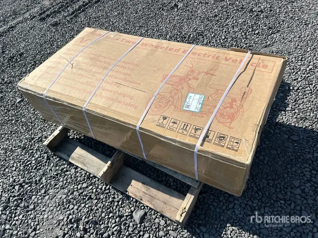 Electric Scooter (Unused)