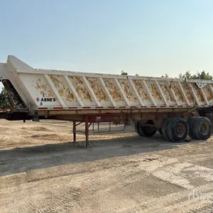 Arnes 27 ft T/A End Dump Trailer