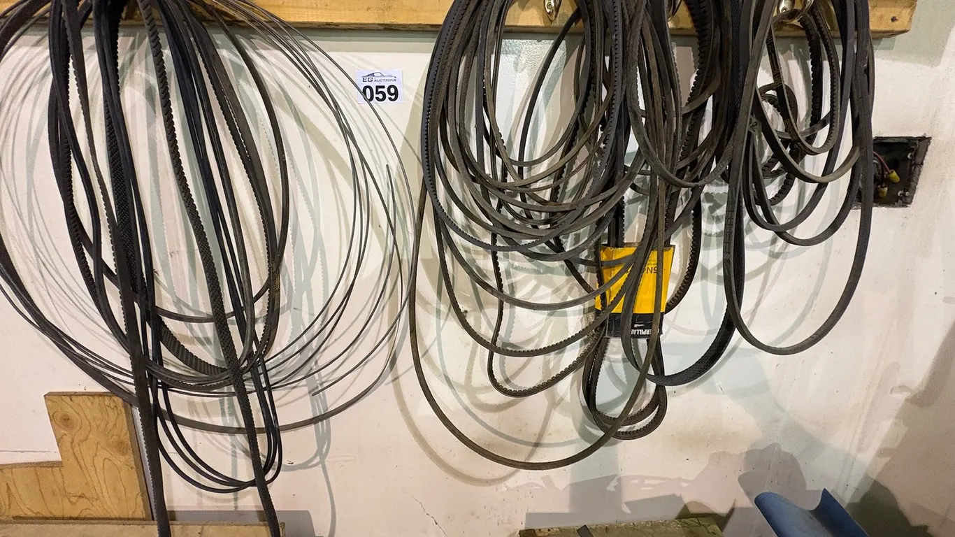 ASSORTED BELTS