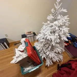 Christmas Trees & More