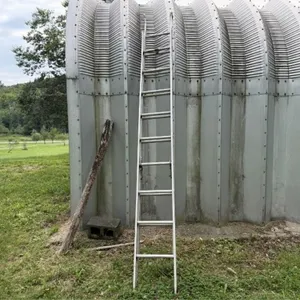 Metal Extension Ladder