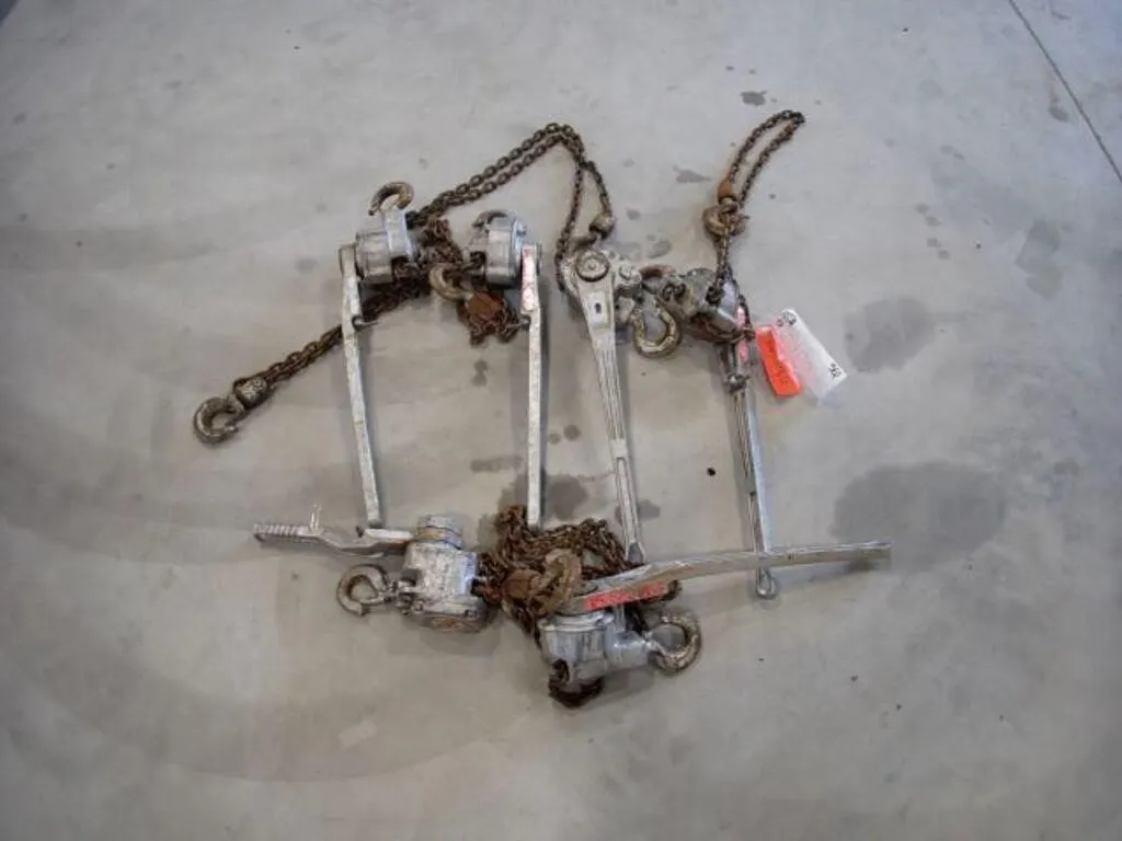 Qty Of (6) Chain Hoists