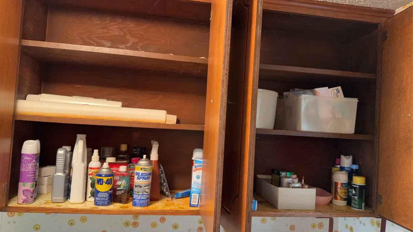 Assorted Household Cleaning Supplies WD-40 Silicone Spray and Utility Lot