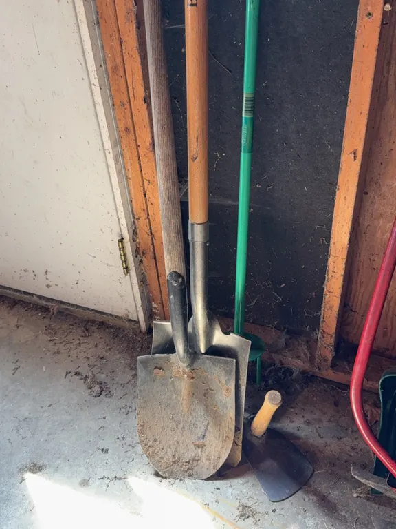 Assorted Lawn and Garden Tools Featuring Shovels and Cultivator