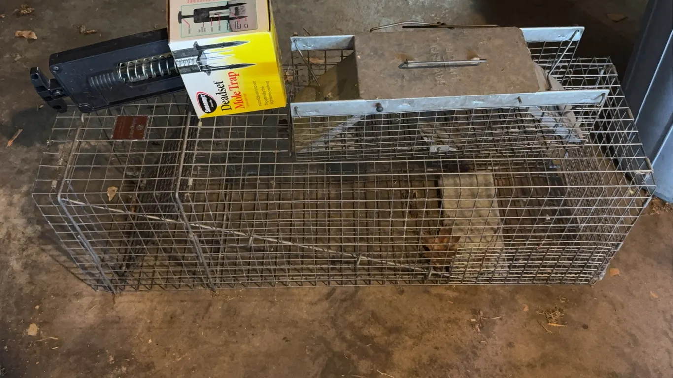 Havahart and Safeguard Live Animal Cage Traps Lot