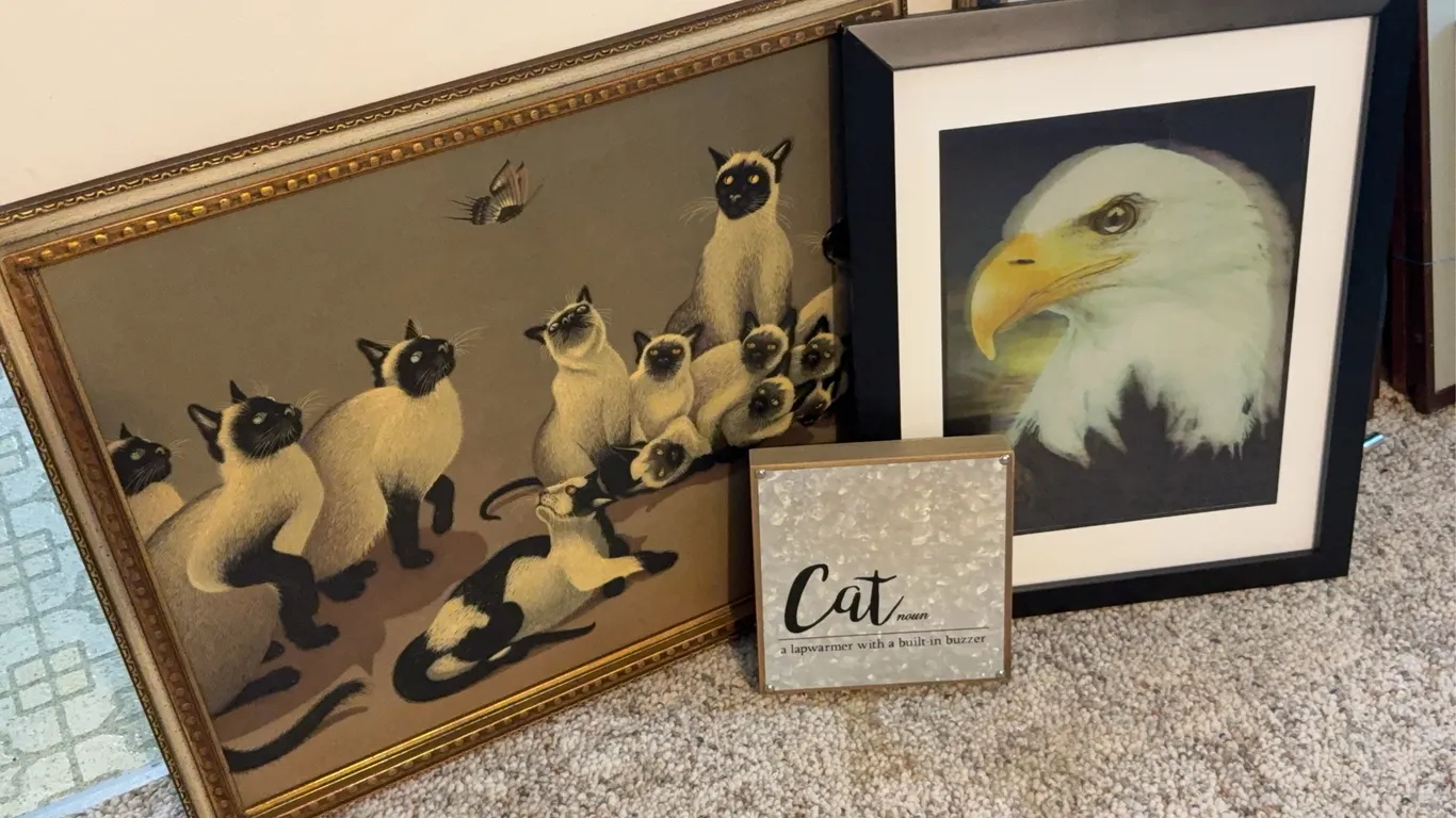 Assorted Framed Wall Art Collection Coastal Landscapes Animal Prints Clock