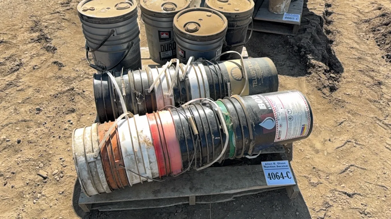 ASSORTMENT OF 20L PAILS
