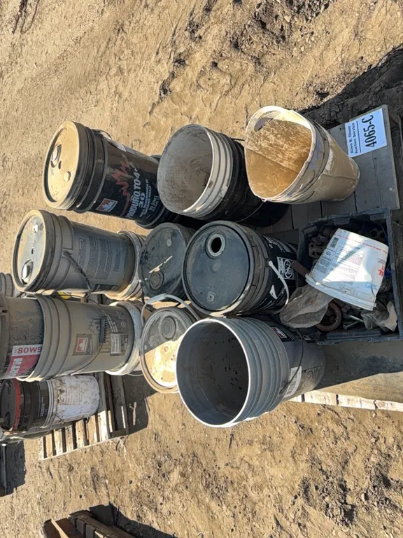 ASSORTMENT OF 20L PAILS, ASSORTED NUTS