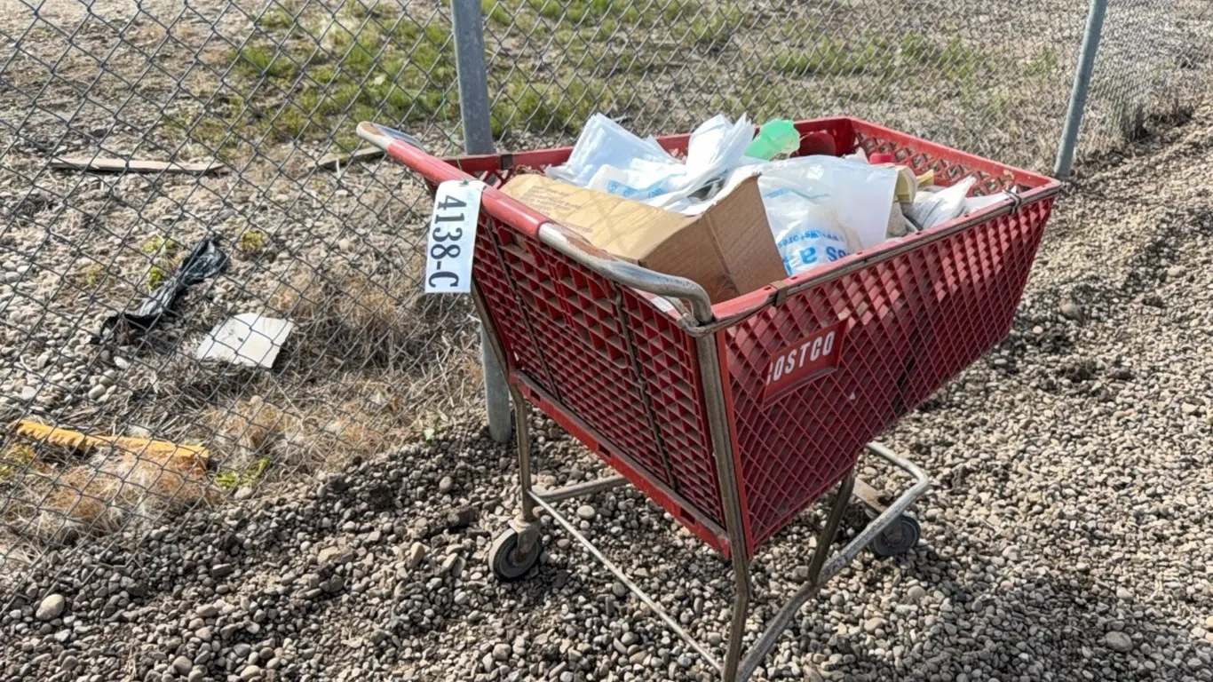SHOPPING CART OF UNUSED PLASTIC BAGS