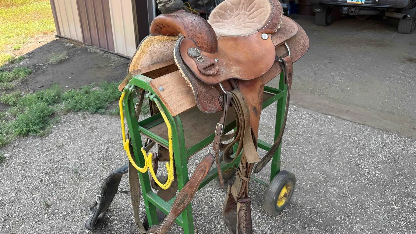 Circle Y Brand Saddle