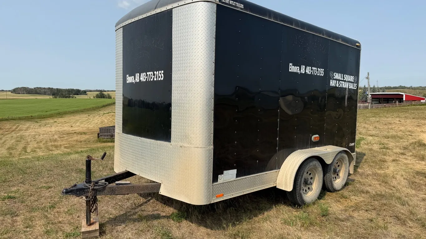 2010 Cargo Mate 12' T/A Enclosed Trailer