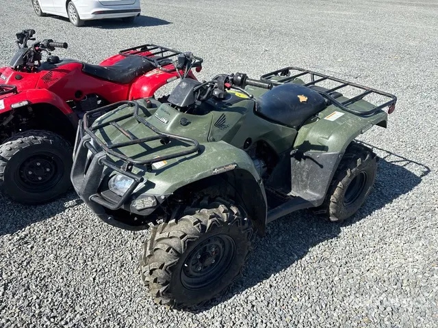 2019 Honda Recon TRX250TM 4x2 ATV