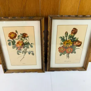 Floral Prints by P.J. Redoute