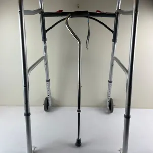 Folding Walker & Cane