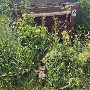 OFFSITE - Feed Wagon