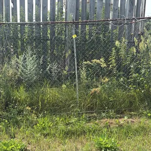 OFFSITE - Dog Cage 10 ft long and 56 In wide 6 FT High