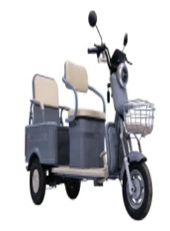 2026 Sdlanch ELECTRIC TRICYCLE MGC40