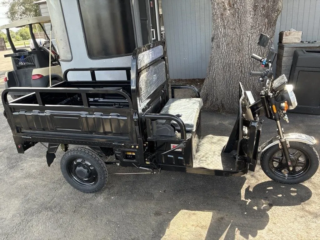 2026 IRET ELECTRIC TRICYCLE ET13