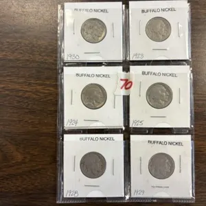 6-BUFFALO NICKELS