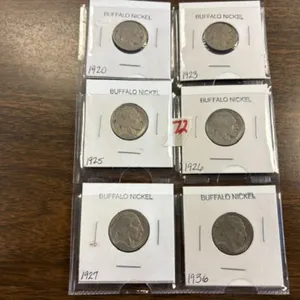 6-BUFFALO NICKELS
