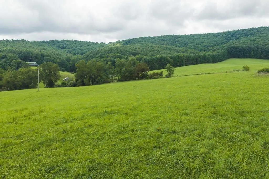 Offering #1: +/- 14.243 ac