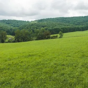 Country Building Lots for Sale in Floyd VA