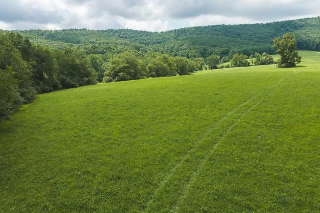 Offering #2: +/- 15.42 ac