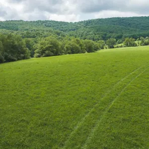 Offering #2: +/- 15.42 ac