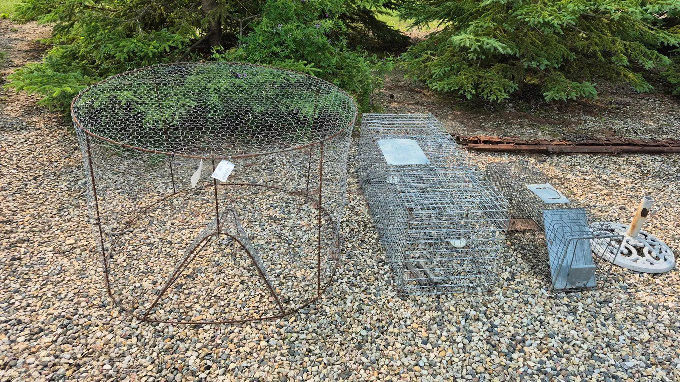 2 - Magpie Traps & Live Trap