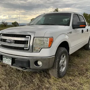 2014 FORD F-150 XLT CREW CAB 4X4 PICKUP VIN: 1FTFW1EF9EFA95707