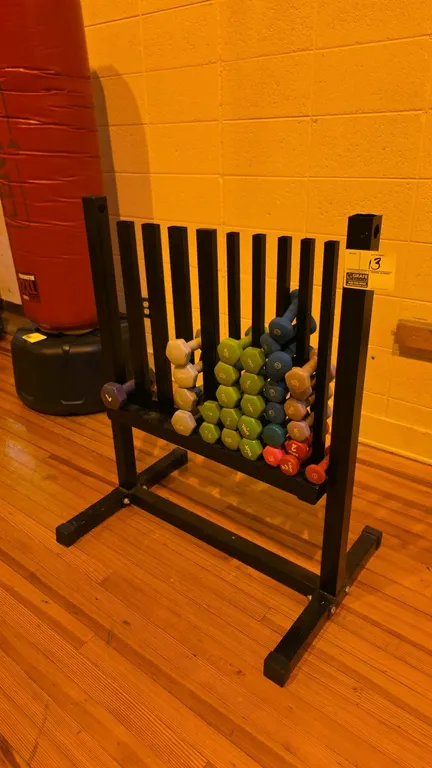 Metal weight stand with assorted weights. Includes various neoprene and vinyl-coated dumbbells from SPRI, Bollinger, and other brands. Dimensions: 34"