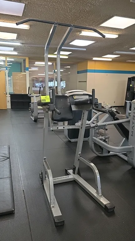 Nautilus T-1150 fitness tree. Features a multi-station design including a pull-up bar, dip handles, and a vertical knee raise station. Equipped with p