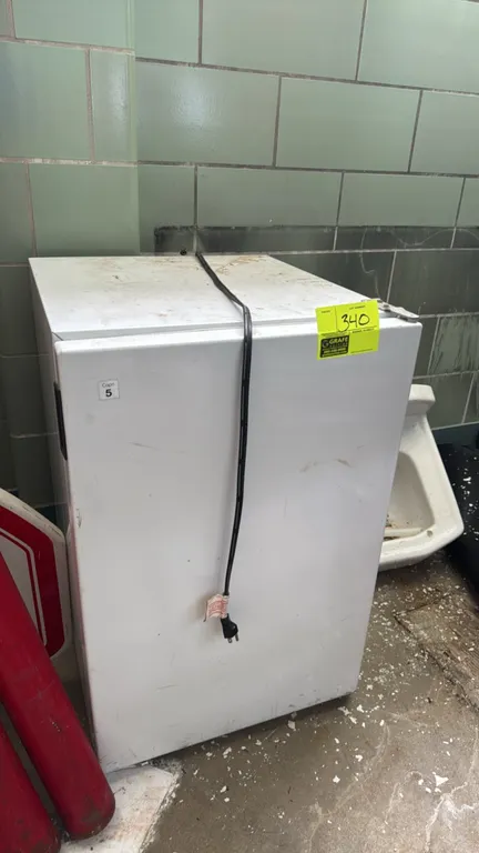 Capri 5 mini freezer. Features a single solid door, two wire shelves, and a white exterior finish.