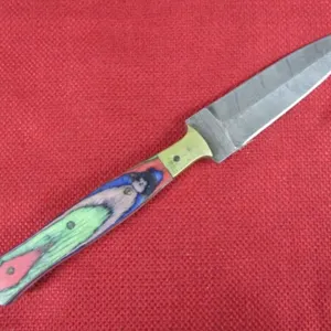 Green, Blue and Red Wood Handle Knife