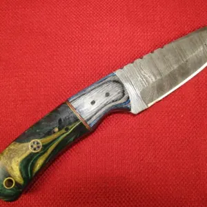 Multi Color Resin Handle Knife