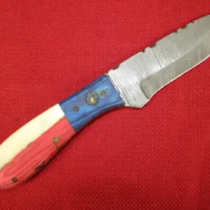Texas Pride Damascus Knife