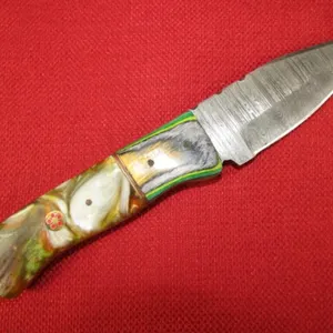 Clorful Wood and Resin Trailing Point Blade Knife