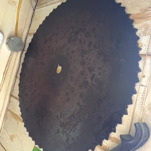 Buzz saw blade