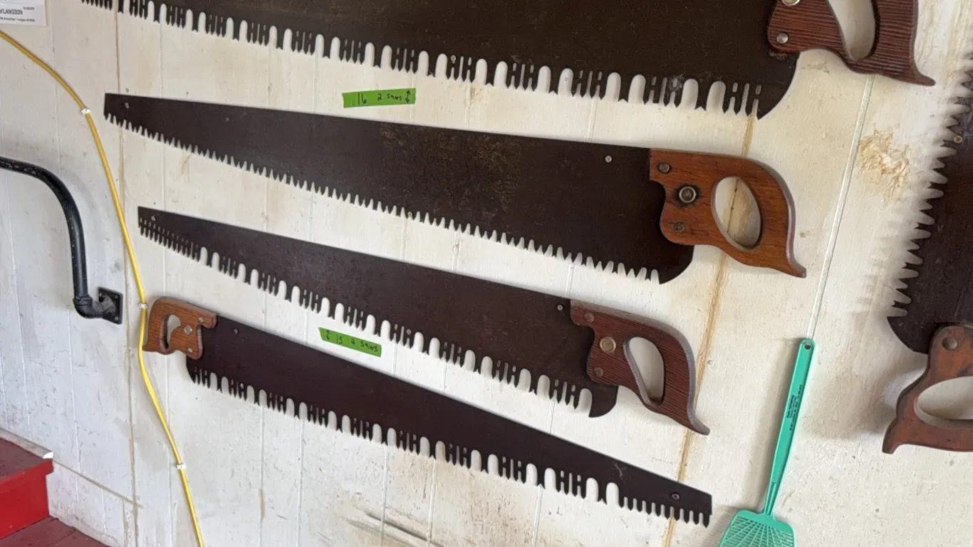 (2) Antique saws, larger saws, excellent shape, nice detail, hard to find. Note: Some pics show 4, please note lot 16 includes the top 2 saws only
